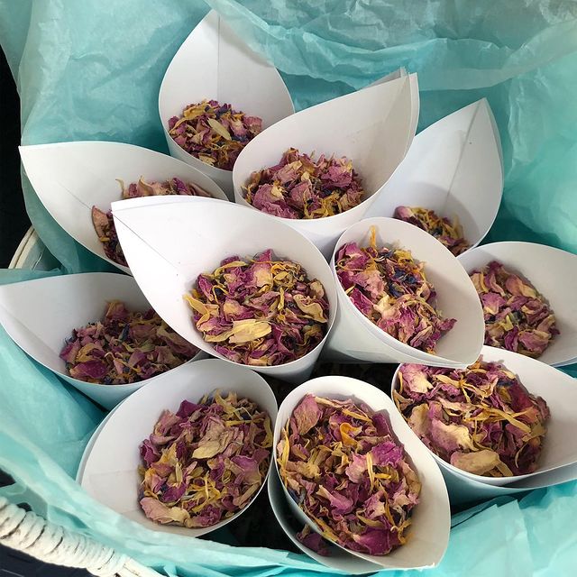 116046850_607445439911788_4551259279657162050_n